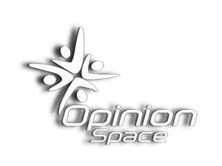 Opinion Space